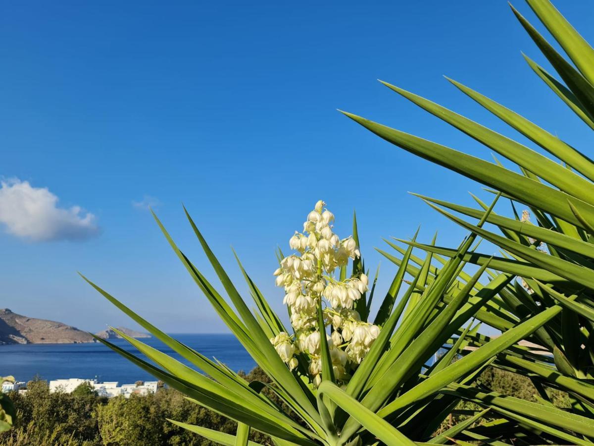 Tilos Villa Livadia  Buitenkant foto