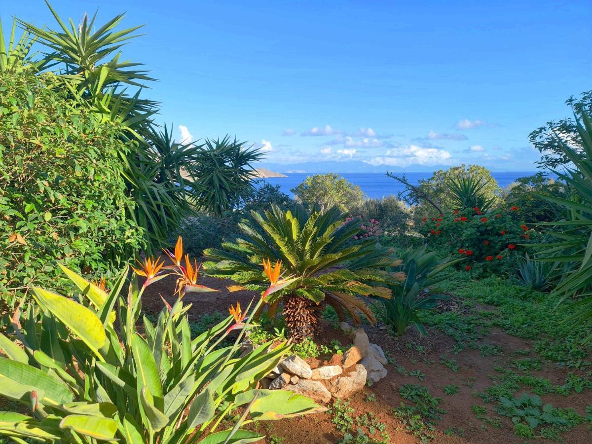 Tilos Villa Livadia  Buitenkant foto